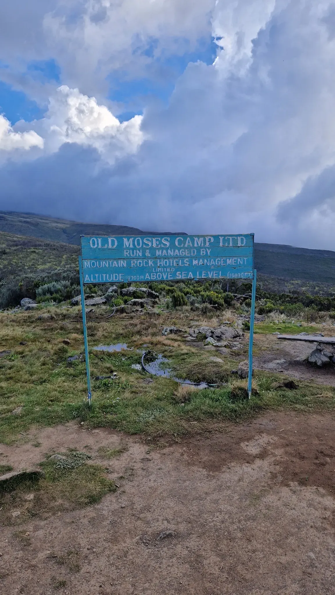 Old Moses Camp